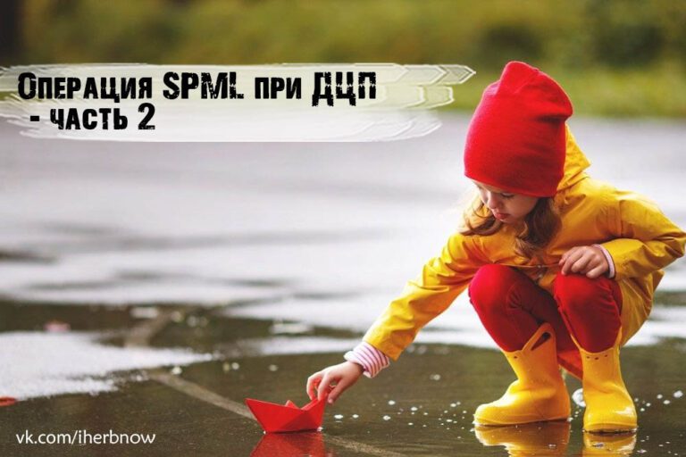 Подробнее о статье Что помогает при ДЦП  — Ульзибат, СДР или SPML
