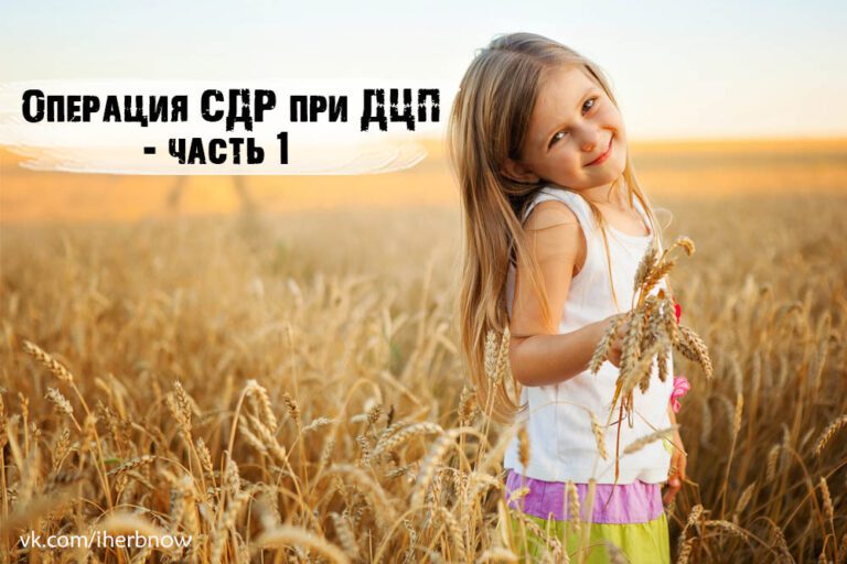 Подробнее о статье Обзор операции Селективная дорзальная ризотомия СДР
